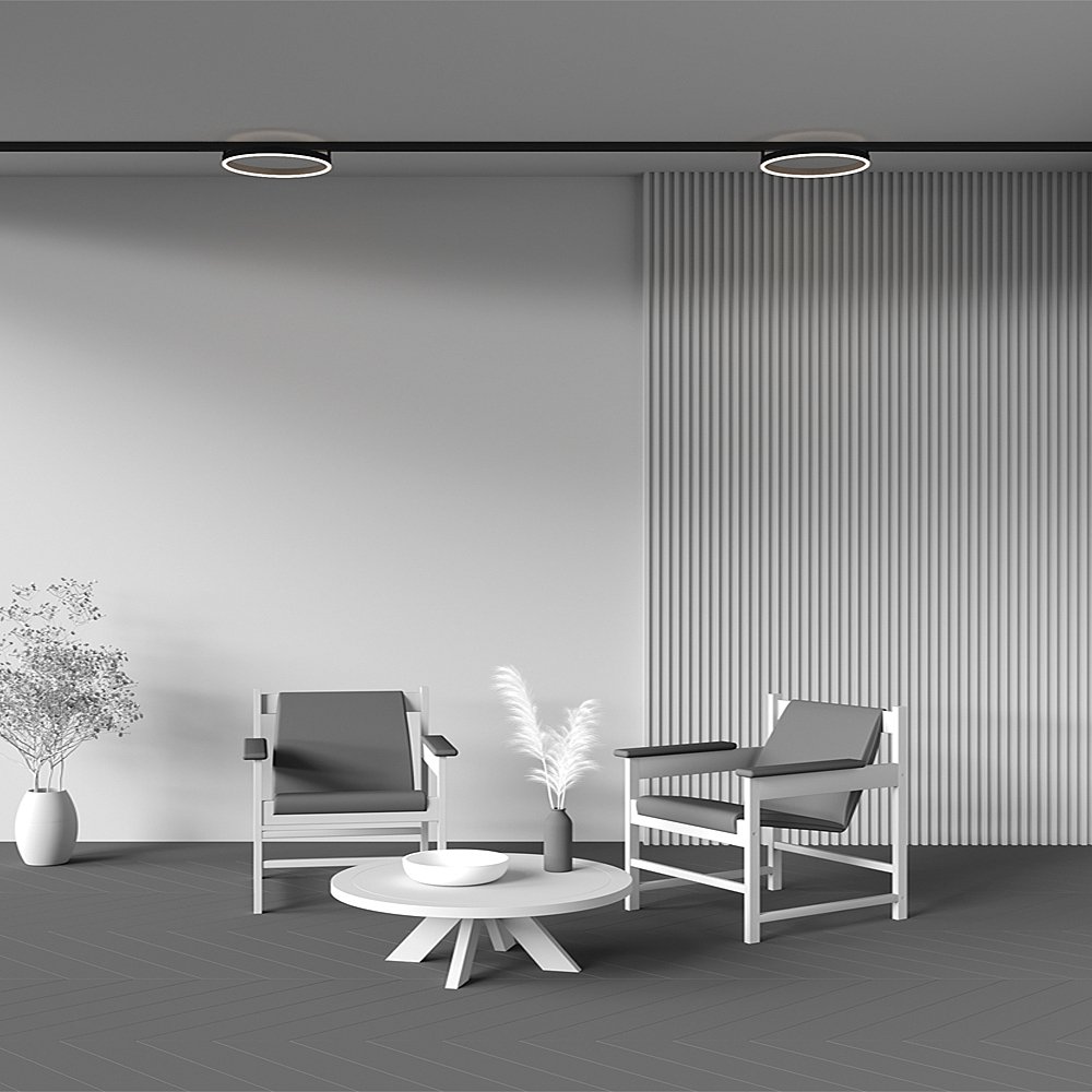 TR227-2-24W4K-B Трековый светильник Maytoni Rim TR227-2-24W4K-B