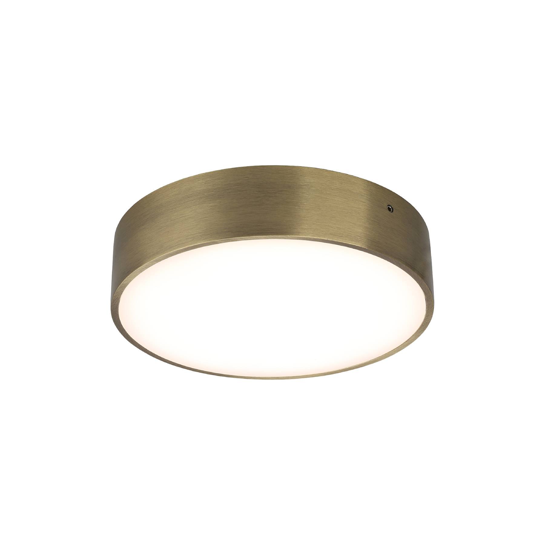 APL.0114.29.18 Светильник потолочный Aployt Evon APL.0114.29.18