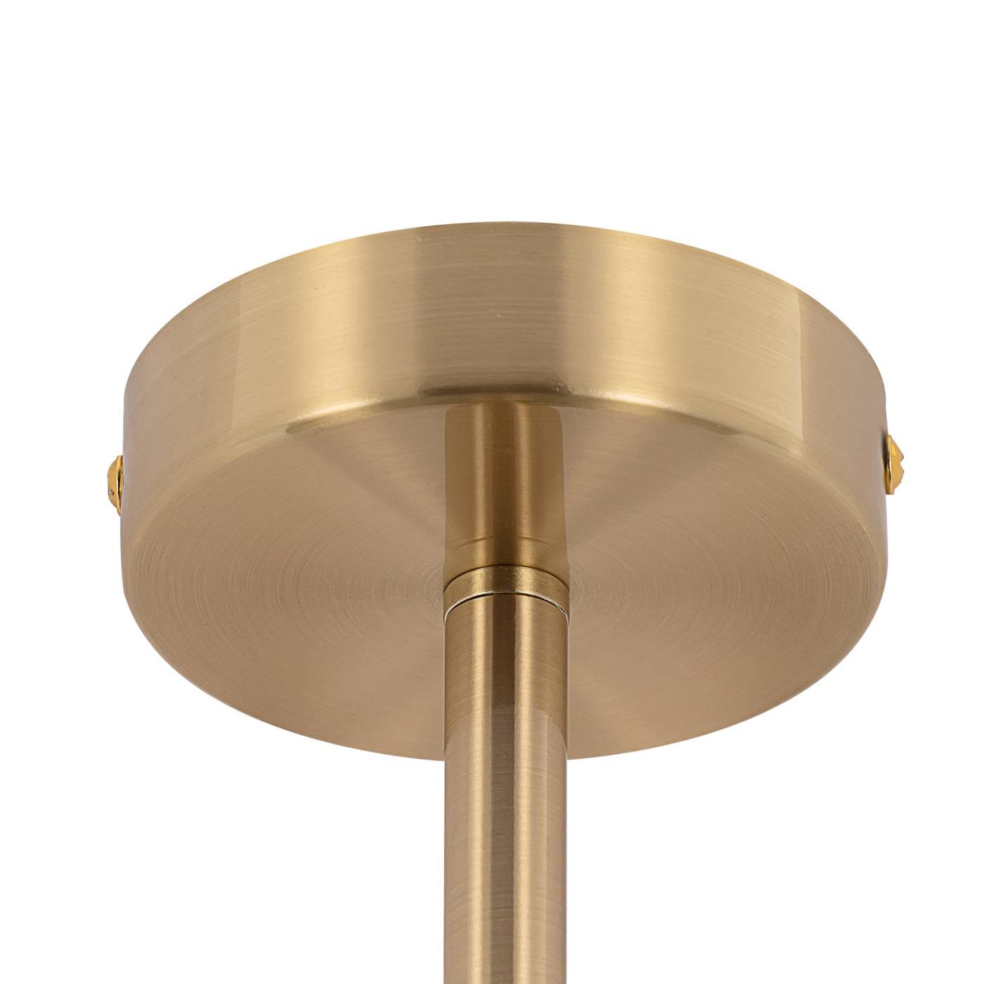 Люстра на штанге Citilux Tendy CL244171