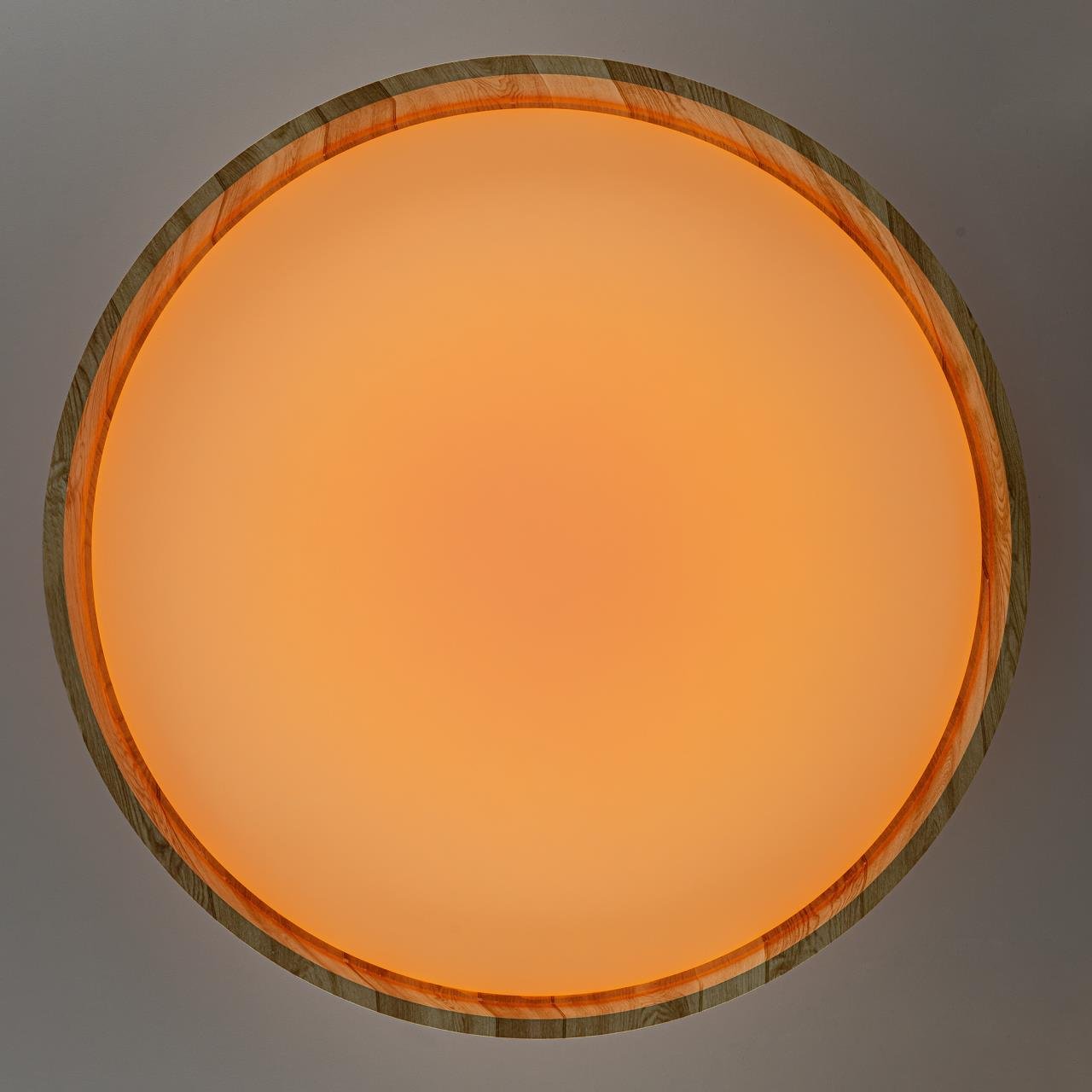 CL753452G Светильник потолочный Citilux Enzo CL753452G