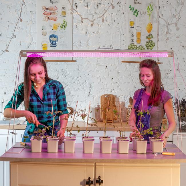 LED-T8-18W/SPSB/G13/CL PLP30WH Лампа для растений Uniel LED-T8-18W/SPSB/G13/CL PLP30WH