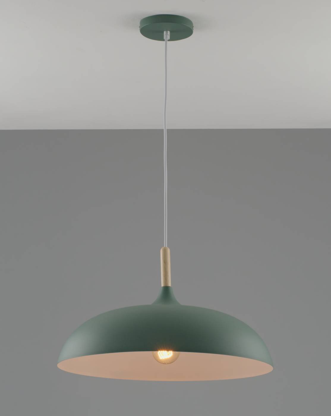 Светильник подвесной Moderli Hygo V11453-1P