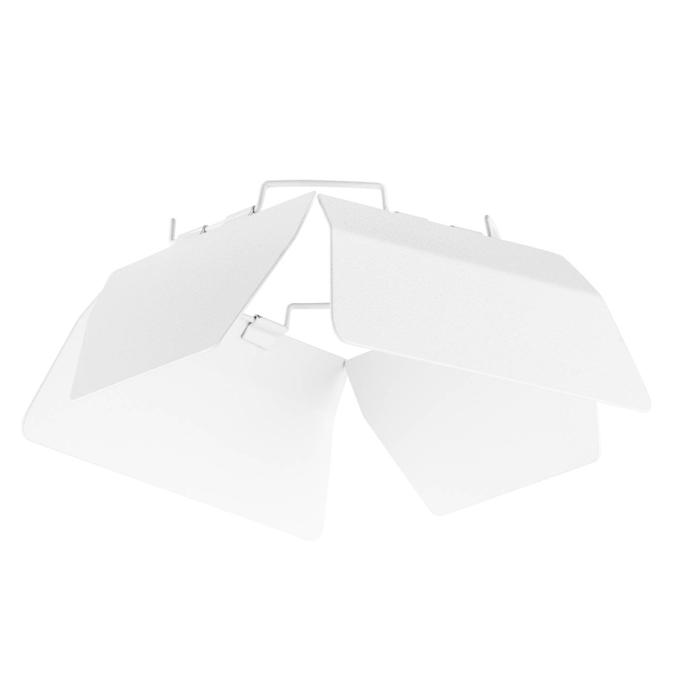 202996 Аксессуар Lightstar Canno 202996