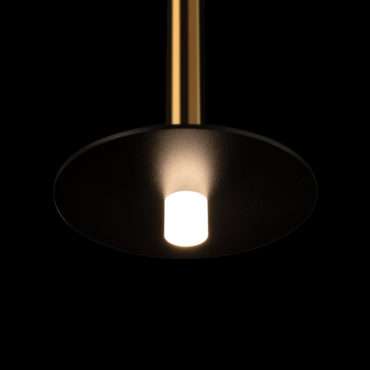 10358/830 Disk AB Светильник подвесной Loft It Reed 10358/830 Disk AB