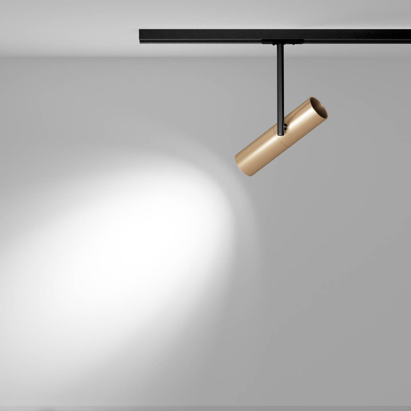 TR005-1-GU10-BG Трековый светильник Maytoni Elti Unity TR005-1-GU10-BG