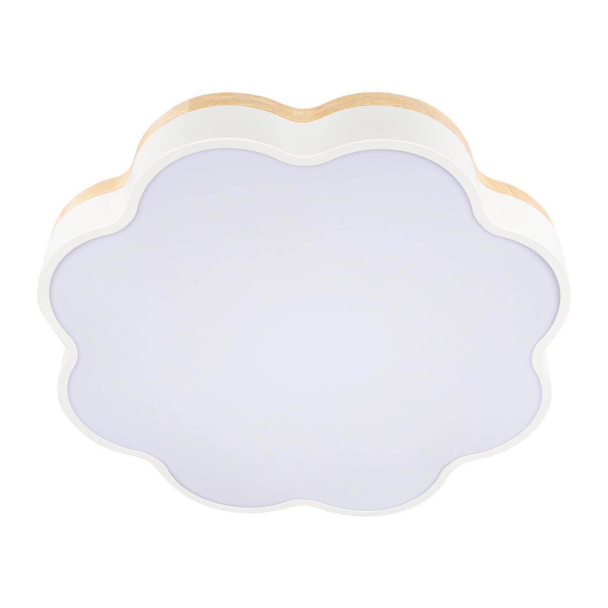 Светильник потолочный Loft It Axel 10225/36 White