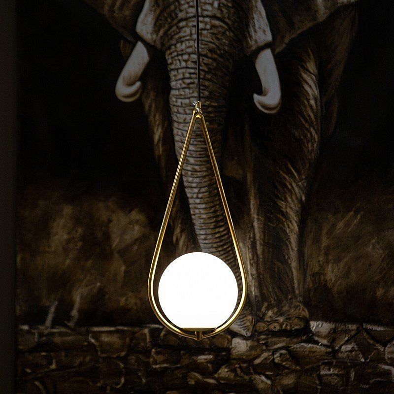 Светильник подвесной L'Arte Luce Luxury Gosca L54505.86
