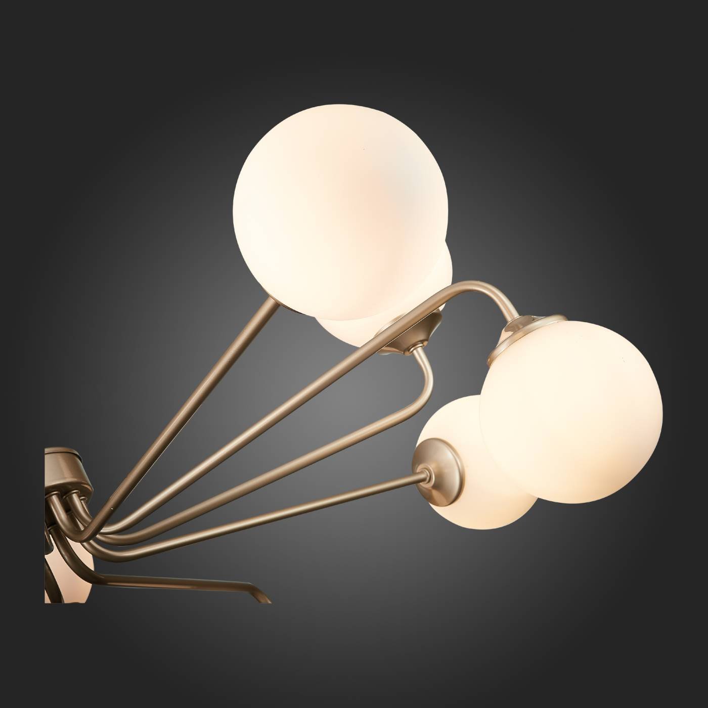 Потолочная люстра ST Luce Redjino SLE106203-12