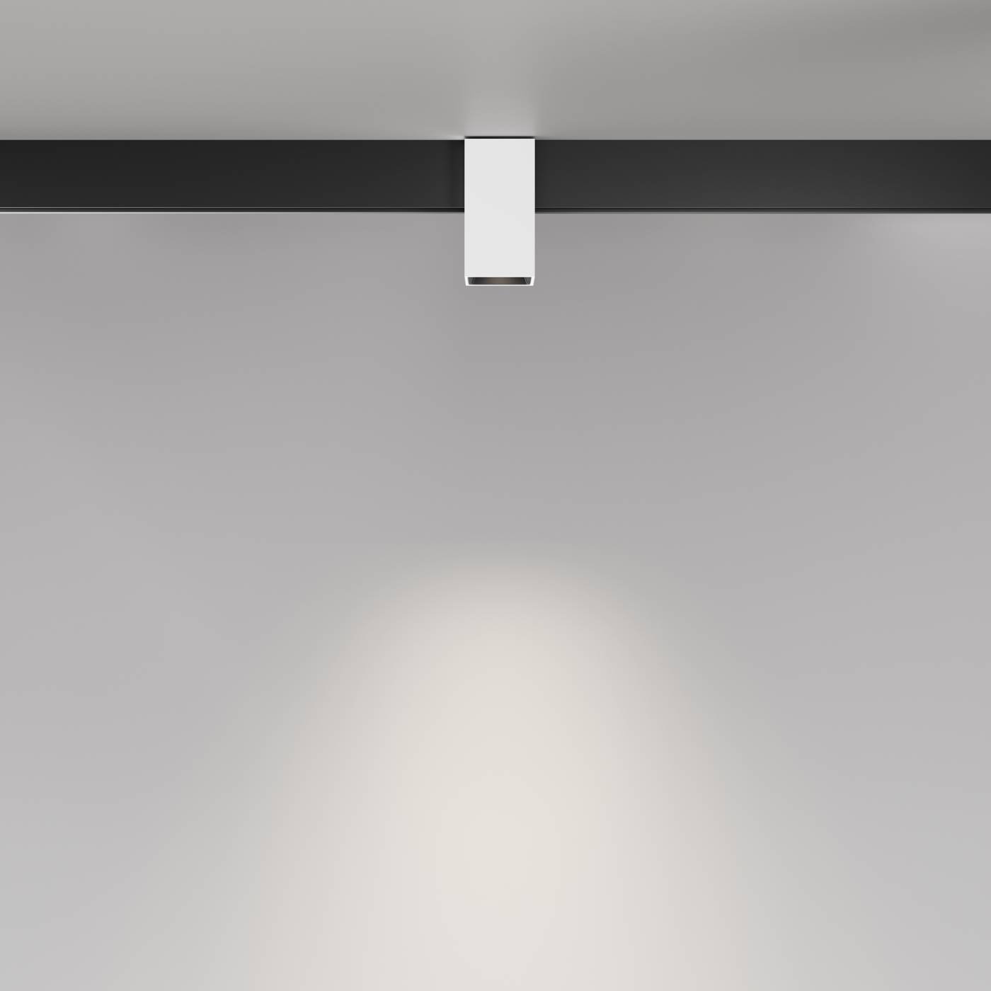 TR121-2-7W4K-W Трековый светильник Maytoni Alfa TR121-2-7W4K-W