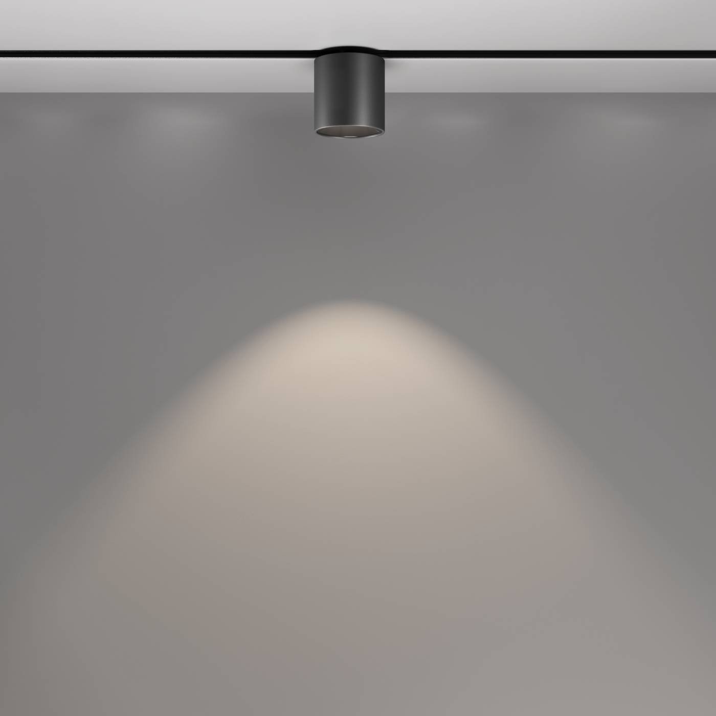 Трековый светильник Maytoni Alfa S TR132-2-7W4K-B