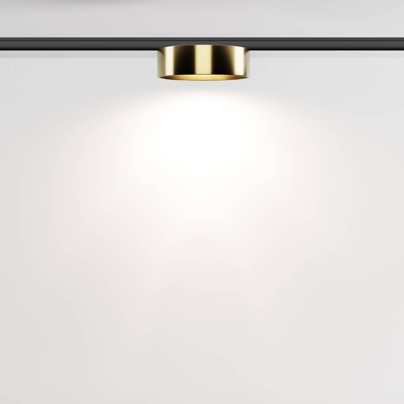 TR189-1-12W4K-BBS Трековый светильник Maytoni Zon TR189-1-12W4K-BBS