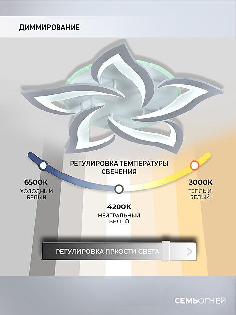 SF5018/6C-WT-RGB Потолочная люстра Seven Fires Lorens SF5018/6C-WT-RGB