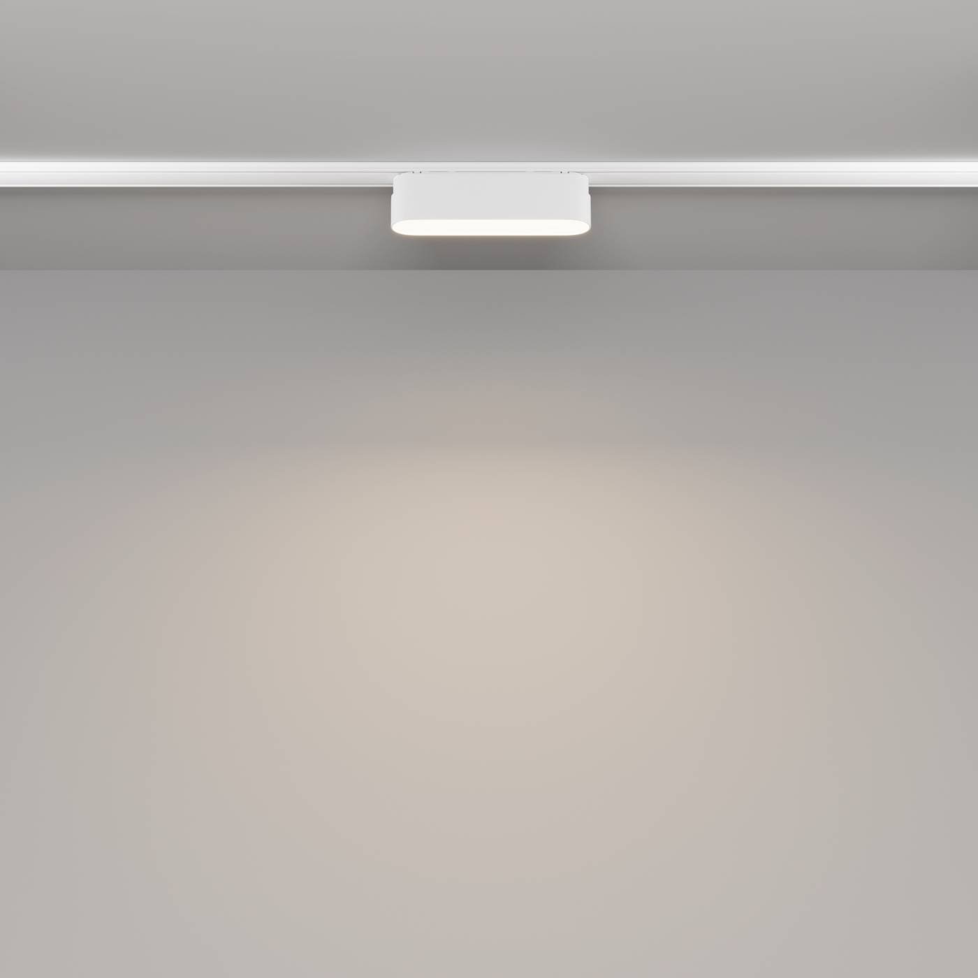 Трековый светильник Maytoni BASIS Radity TR080-1-6W4K-W