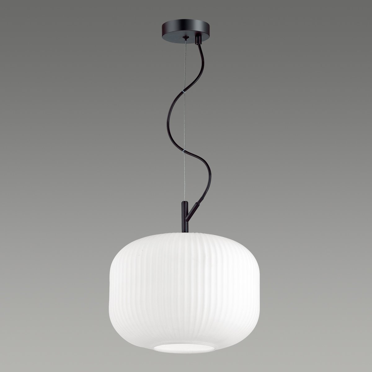 4754/1 Светильник подвесной Odeon Light Roofi 4754/1