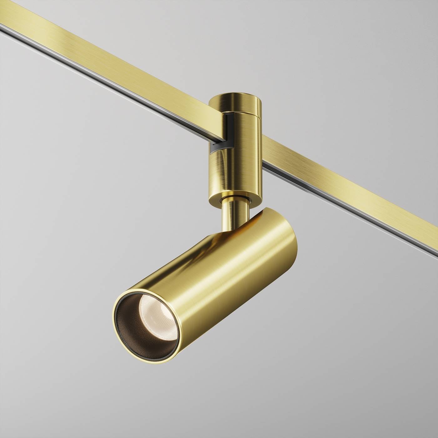 Трековый светильник Maytoni Focus Led TR144-1-12W3K-W-BS