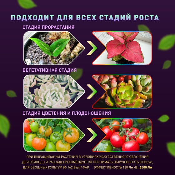 Лампа для растений ЭРА Quantum board FITO-80W-LED-QB