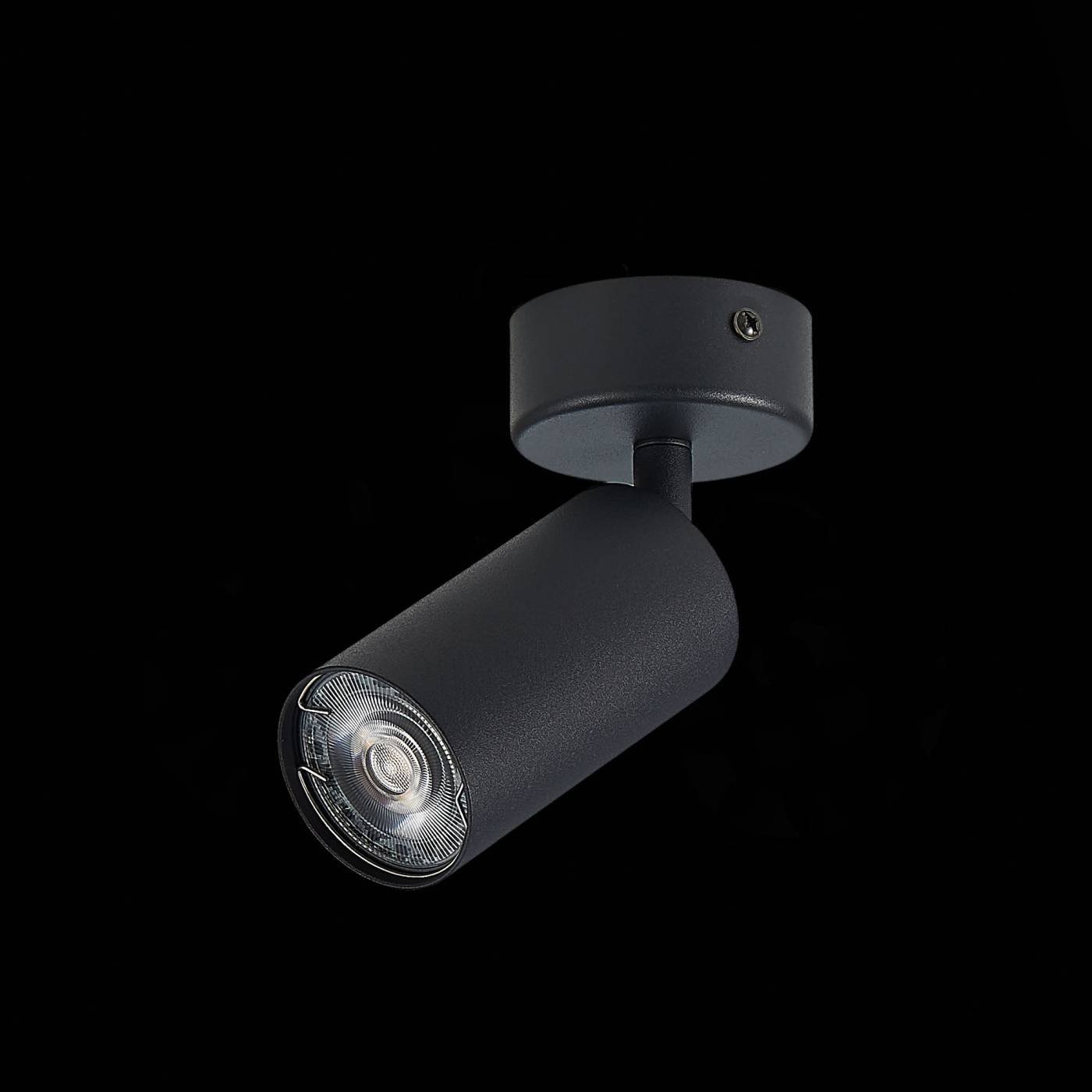 ST303.402.01 Светильник спот ST Luce Dario ST303.402.01