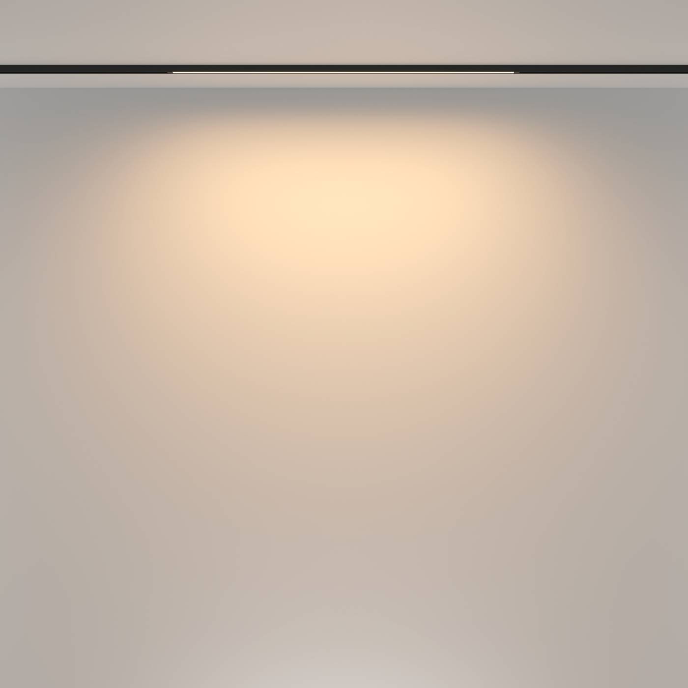 Трековый светильник Maytoni Basis TR173-1-16WTW-B