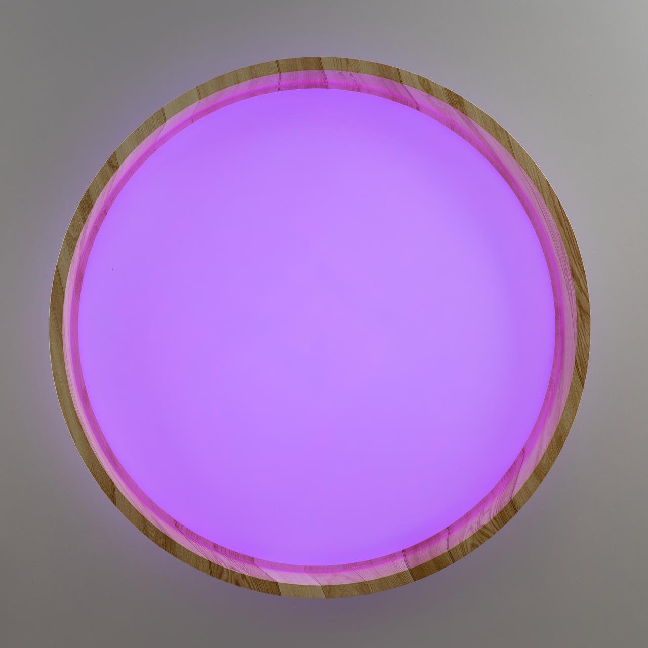 CL753352G Светильник потолочный Citilux Enzo CL753352G