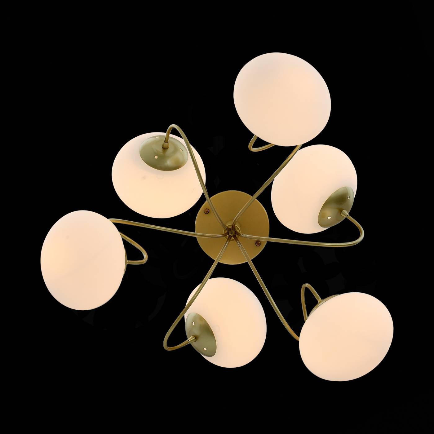 Потолочная люстра ST Luce Acini SL717.202.06
