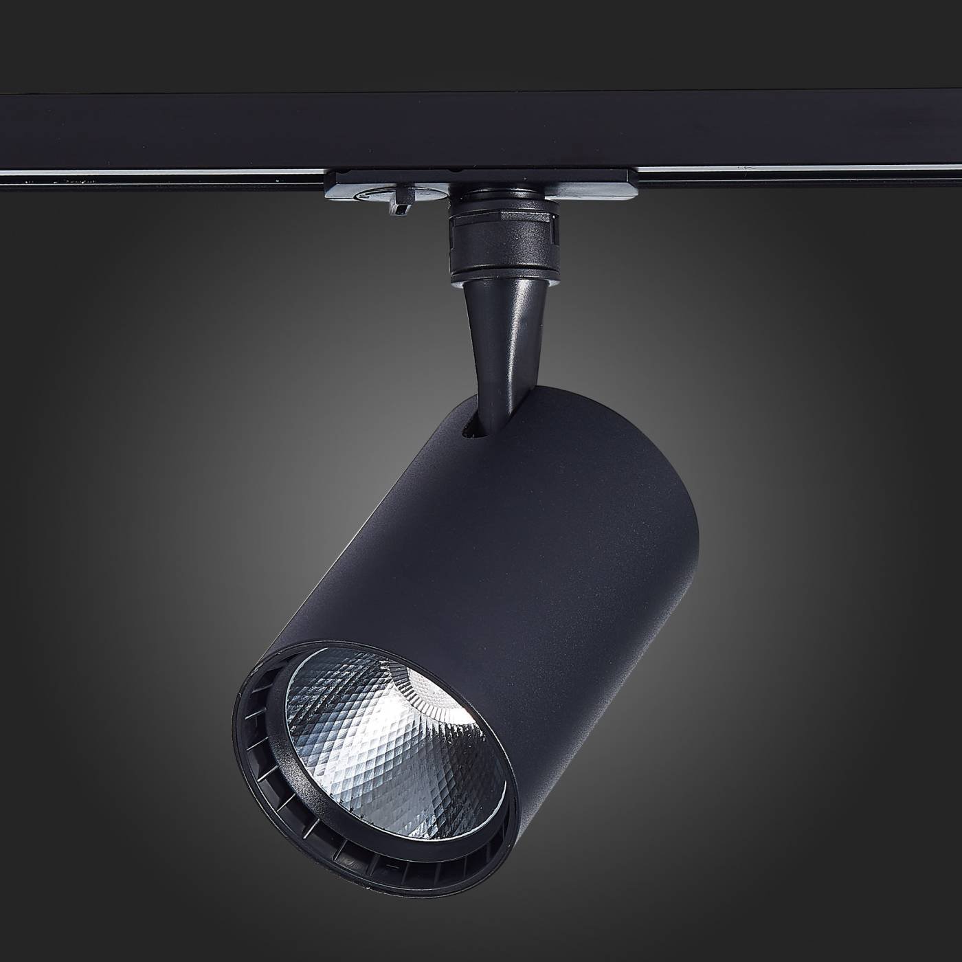 ST351.446.30.36 Трековый светильник ST Luce Cami ST351.446.30.36
