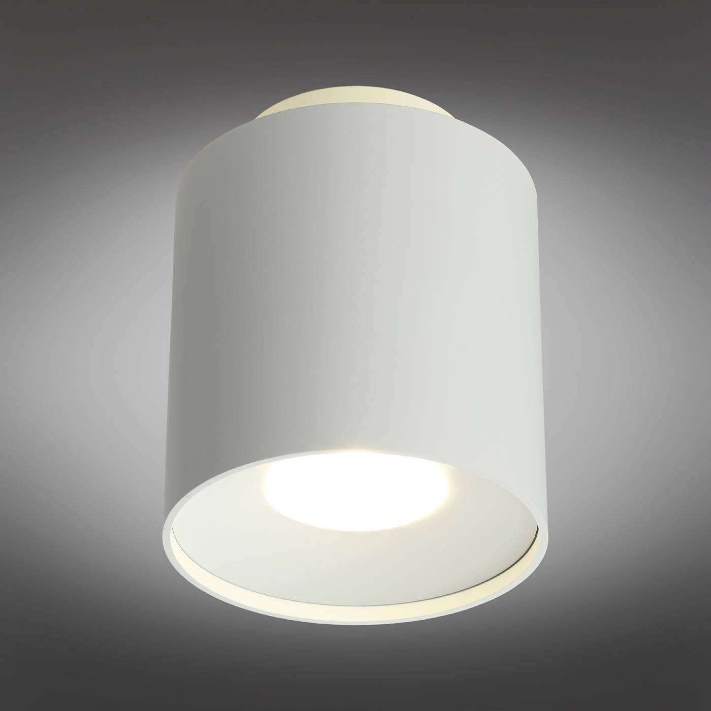 OML-100309-16 Накладной светильник Omnilux Torino OML-100309-16