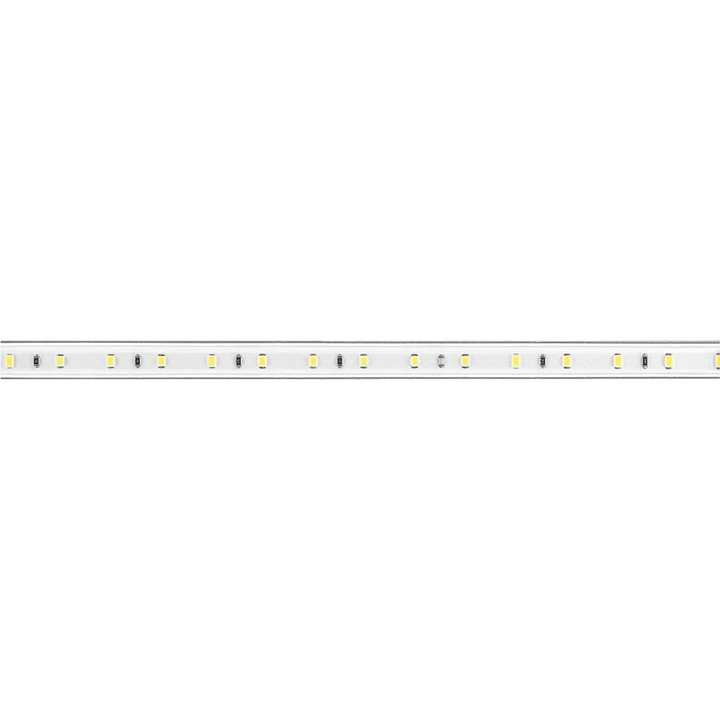 48291 LED лента Feron LS704 48291