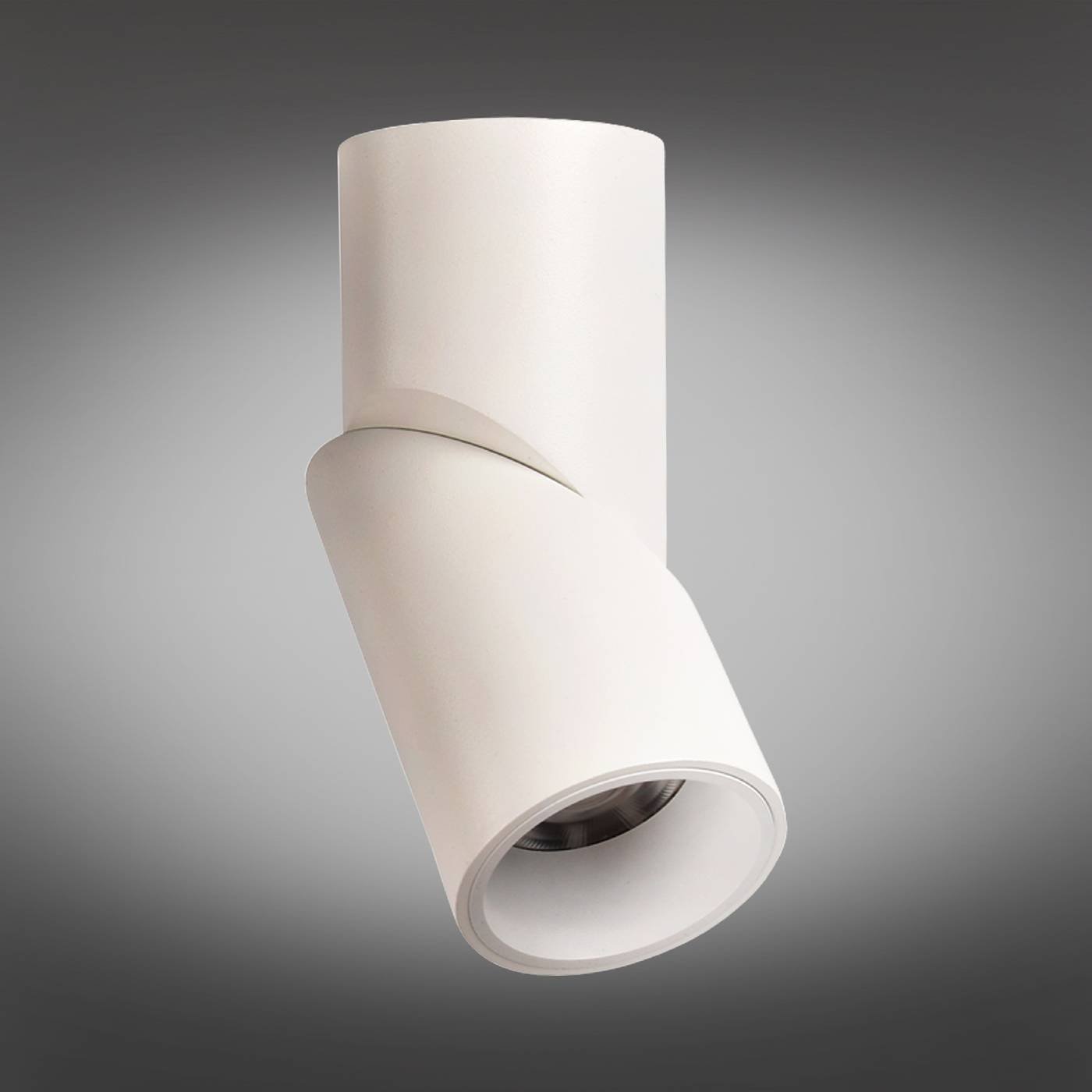 OML-101809-12 Накладной светильник Omnilux Arlate OML-101809-12