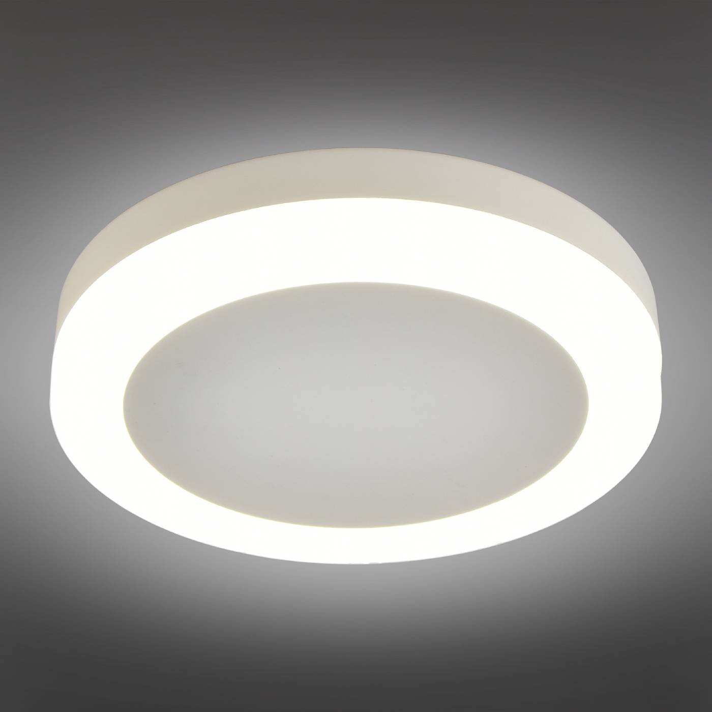 OML-102109-06 Светильник потолочный Omnilux Valles OML-102109-06