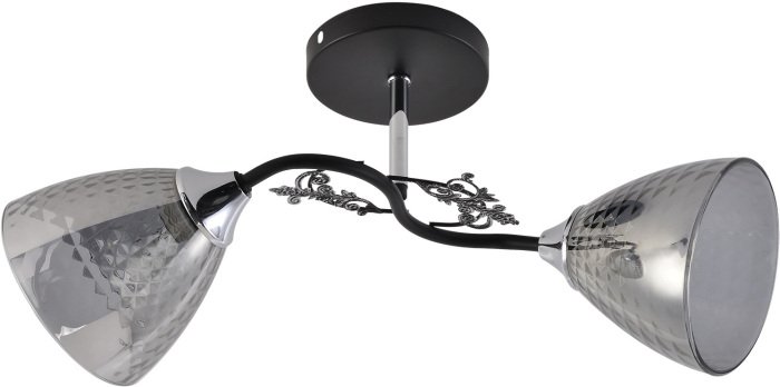 Потолочная люстра 01525-0.3-02 BK+CR