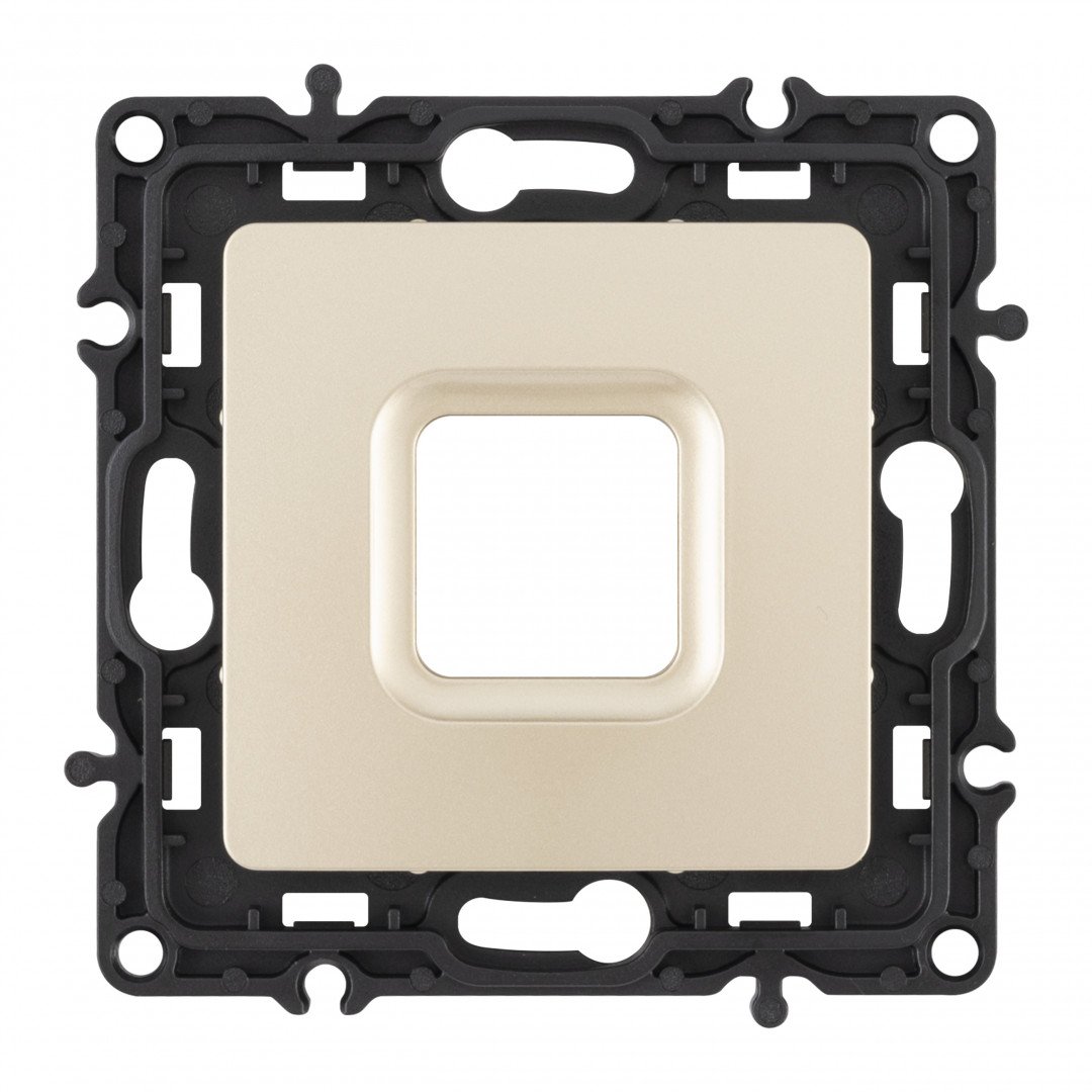 Накладка на механизм Arte Milano Am-217 217.49-1.shampan