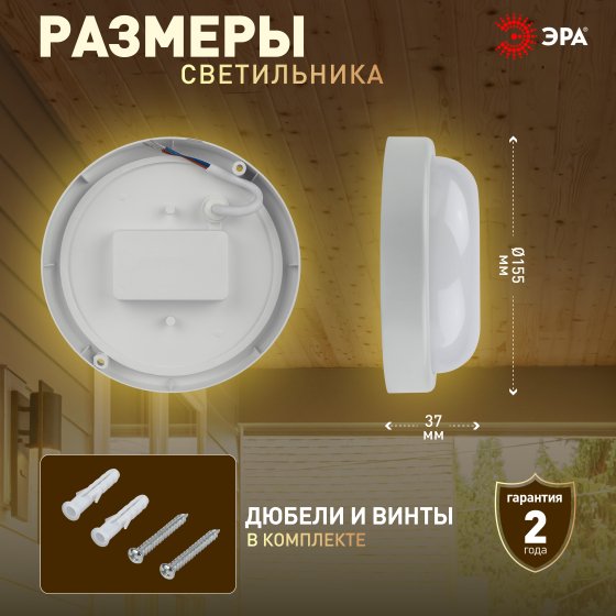 Уличный потолочный светильник ЭРА SPB-2 SPB-201-0-40K-012