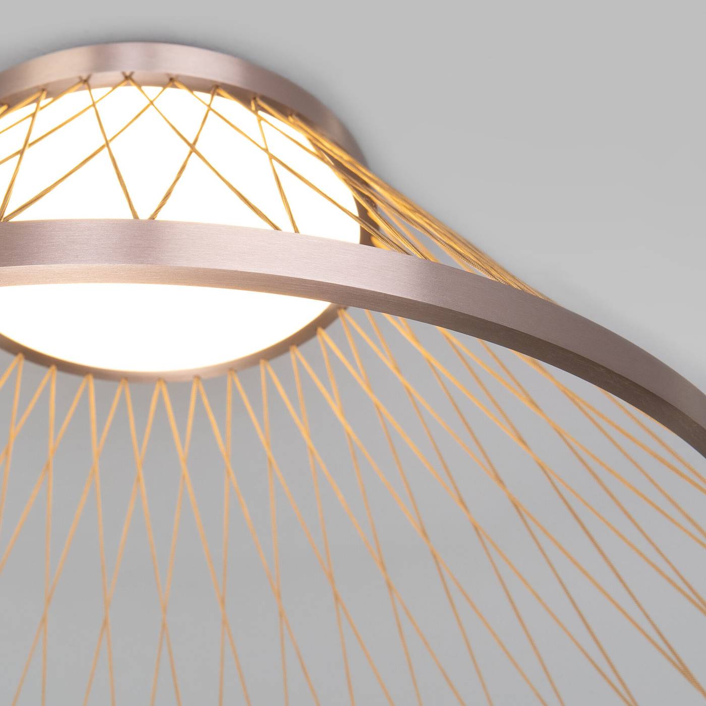Светильник потолочный Eurosvet Cesta 40019/1 LED коричневый