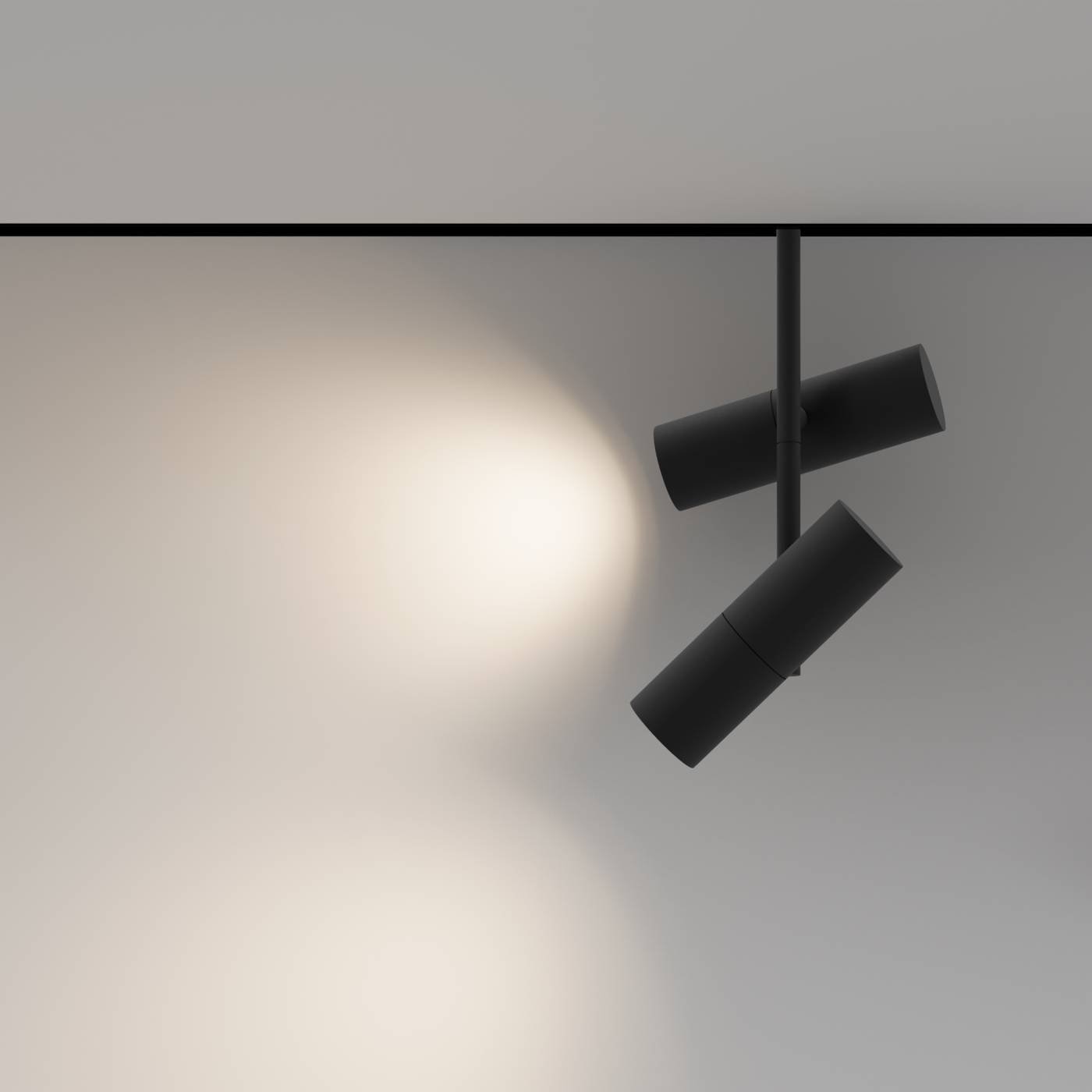 Трековый светильник Maytoni Elti Duo Exility TR005-2-2X12W3K-B