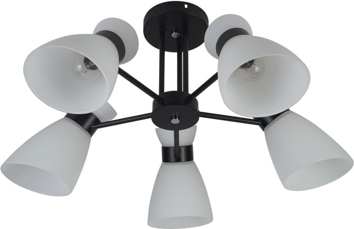 Потолочная люстра 01416-0.3-05 BK+CR