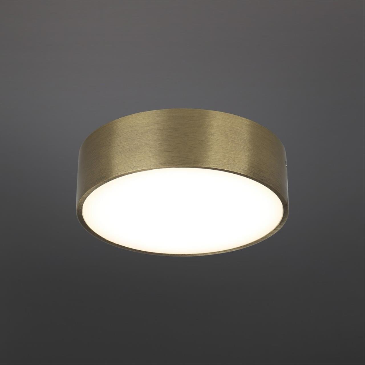 Светильник потолочный Aployt Evon APL.0114.29.12