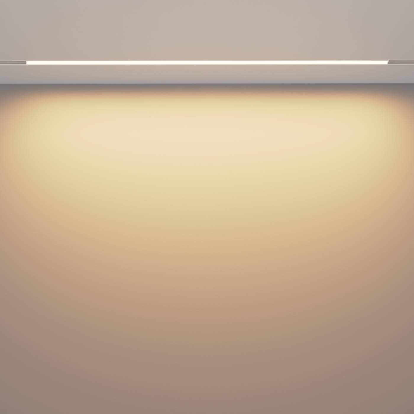 Трековый светильник Maytoni Basis Exility TR030-4-30W3K-WW-DS-W