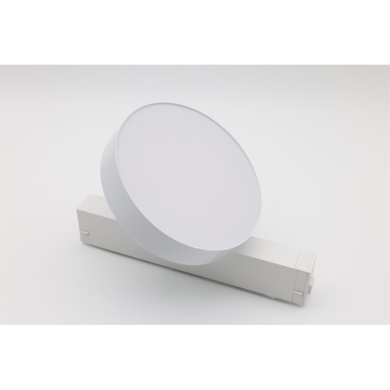 APL.0213.10.24 Трековый светильник Magnetic track 220 Aployt APL.0213.10.24