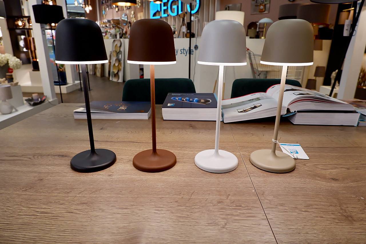 Настольная лампа Eglo Mannera 900461