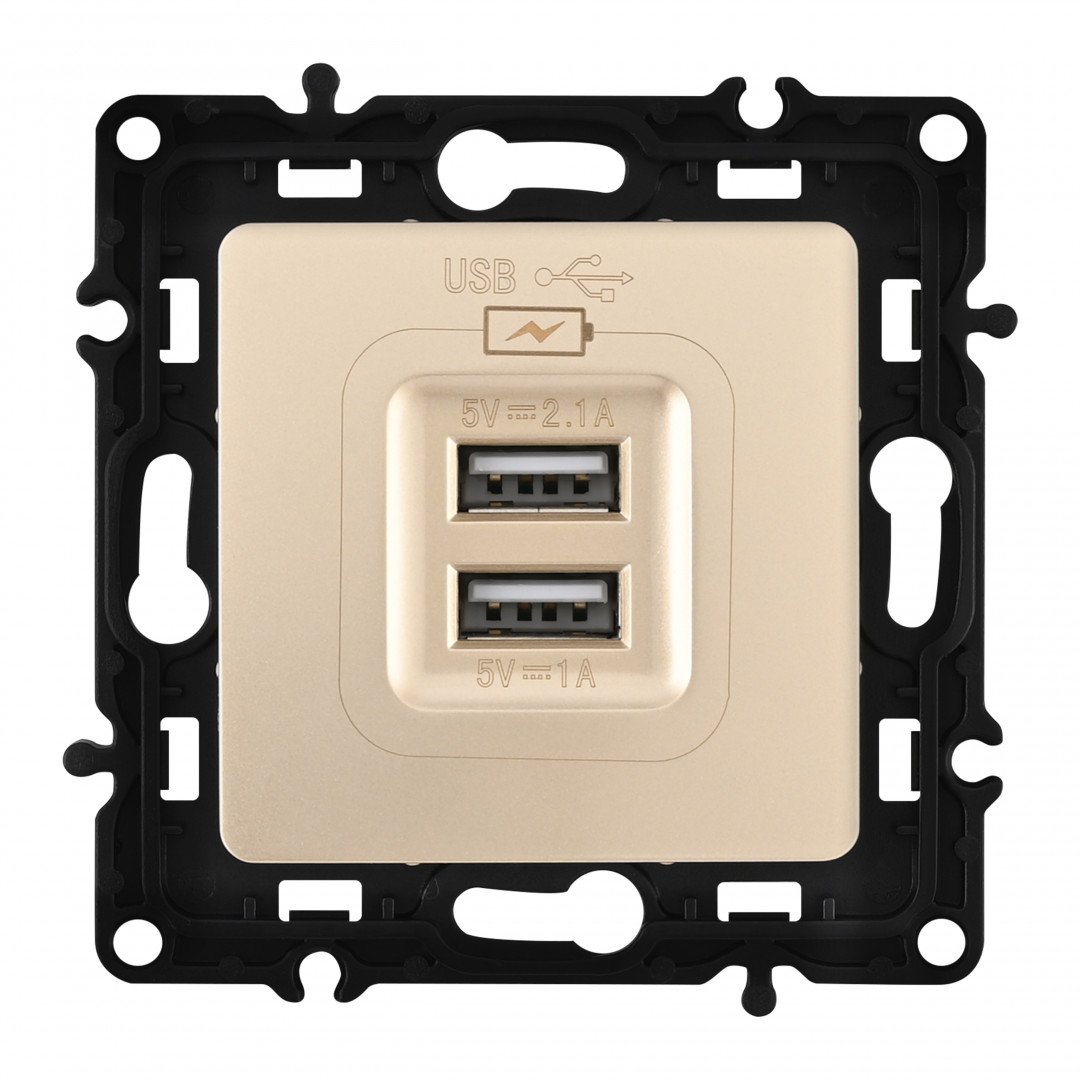 Розетка Arte Milano Am-217 217.46-1.shampan