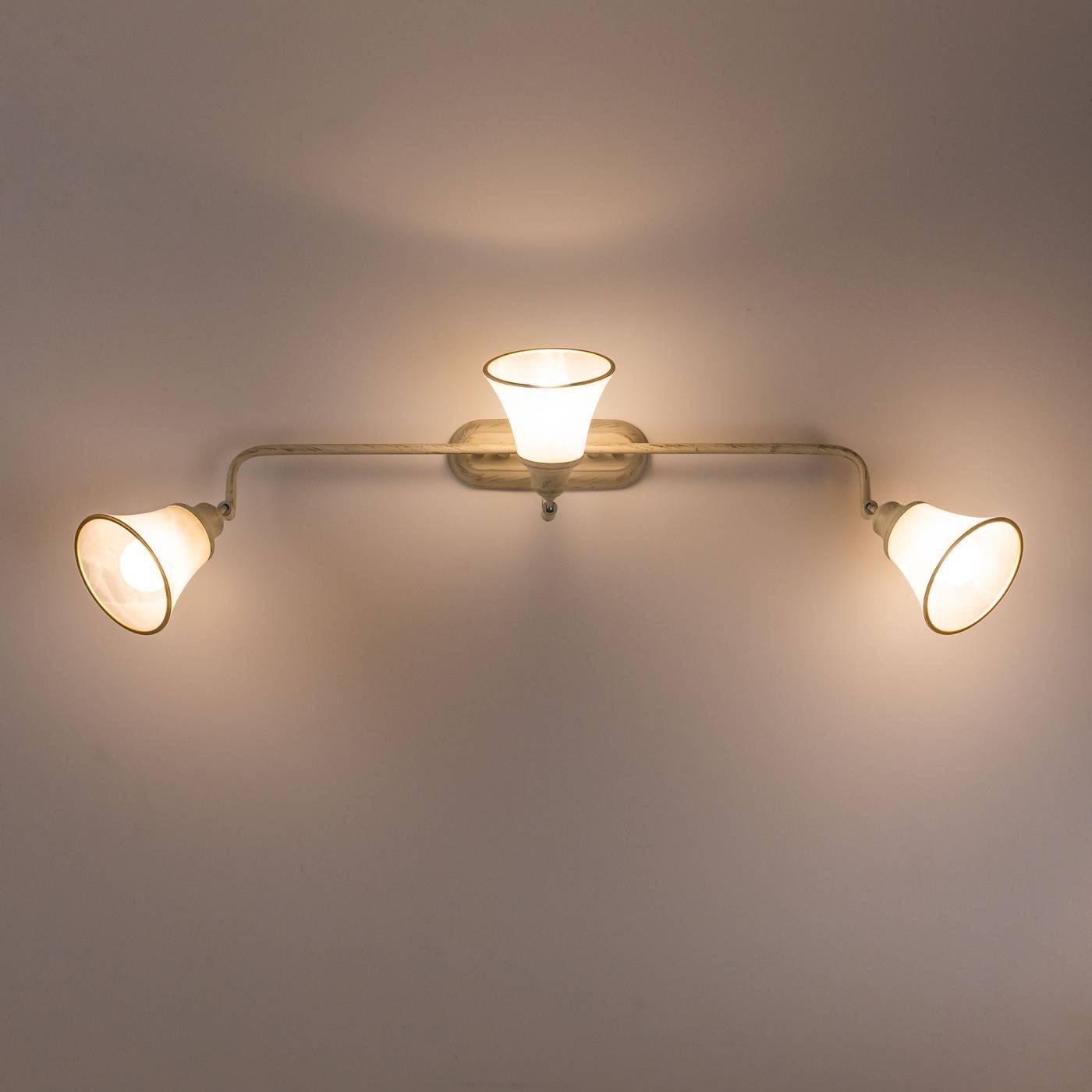 CL511534 Светильник спот Citilux Прованс CL511534