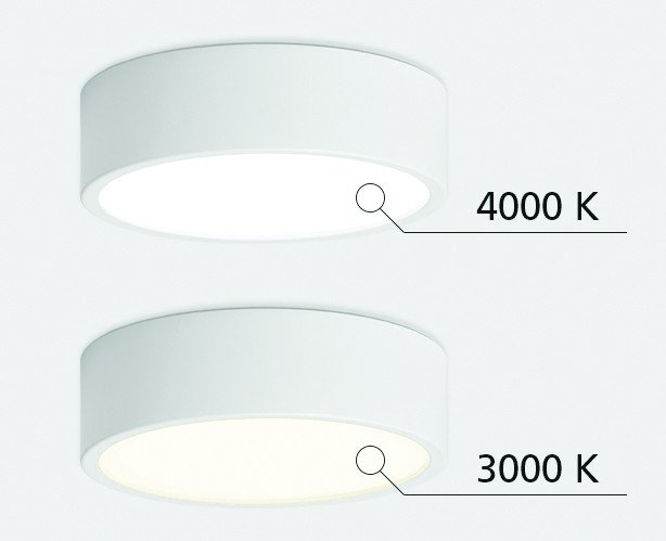 M04-525-125 black 4000K Накладной светильник Italline M04-525 M04-525-125 black 4000K