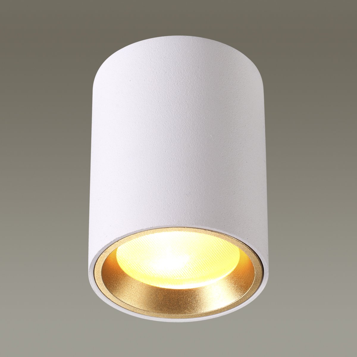 4206/1C Накладной светильник Odeon Light Aquana 4206/1C
