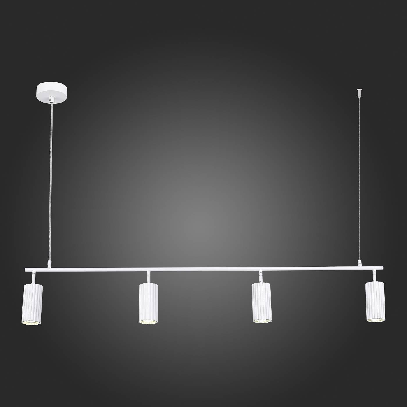 Светильник подвесной ST Luce Kendo SL1213.503.04