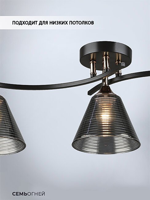 Потолочная люстра Wedo Light Dorika WD3636/3C-CF-FGD-SMK