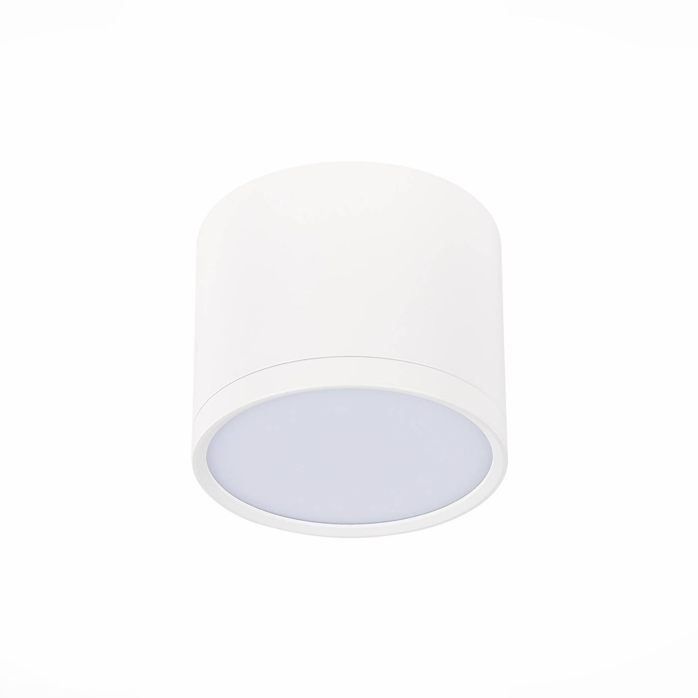 ST113.532.09 Накладной светильник ST Luce Rene ST113.532.09