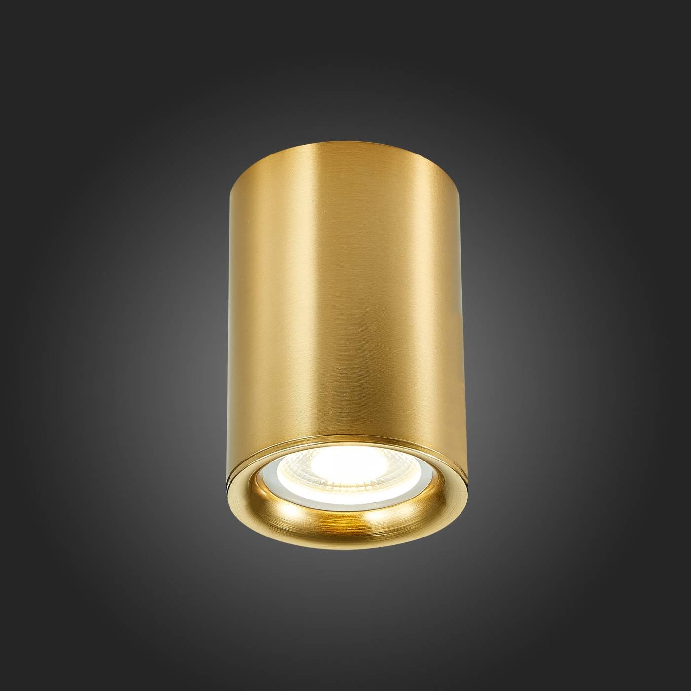 Накладной светильник ST Luce ST114 ST114.207.01