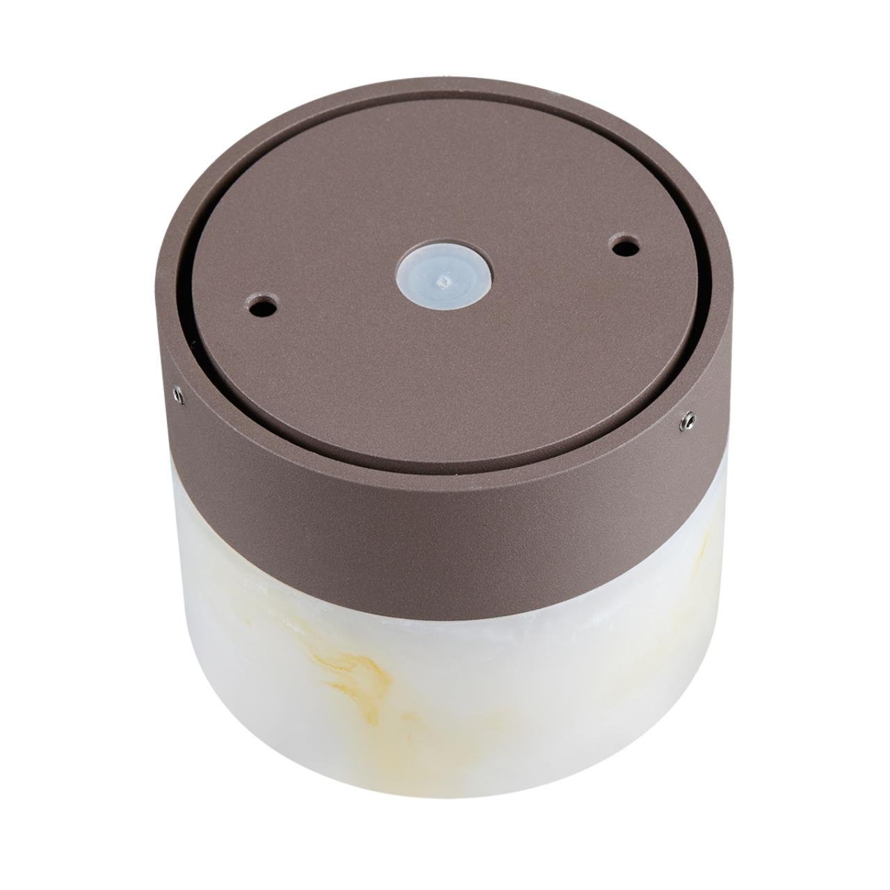 Настенный светильник Candela Odeon Light 7190/6WL