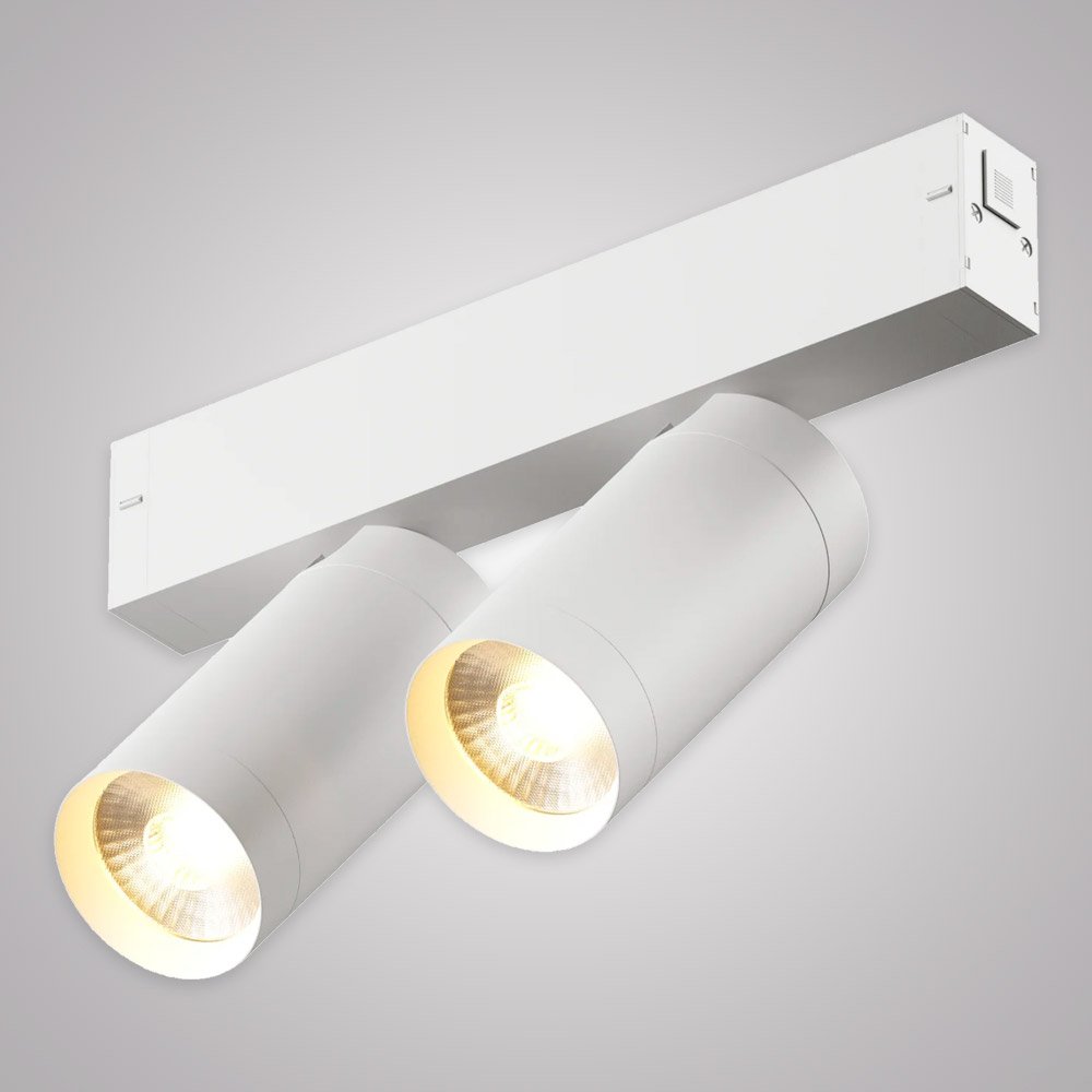 Трековый светильник AM Group Smart cylinder AM528 WH-220V-2X10W SMART