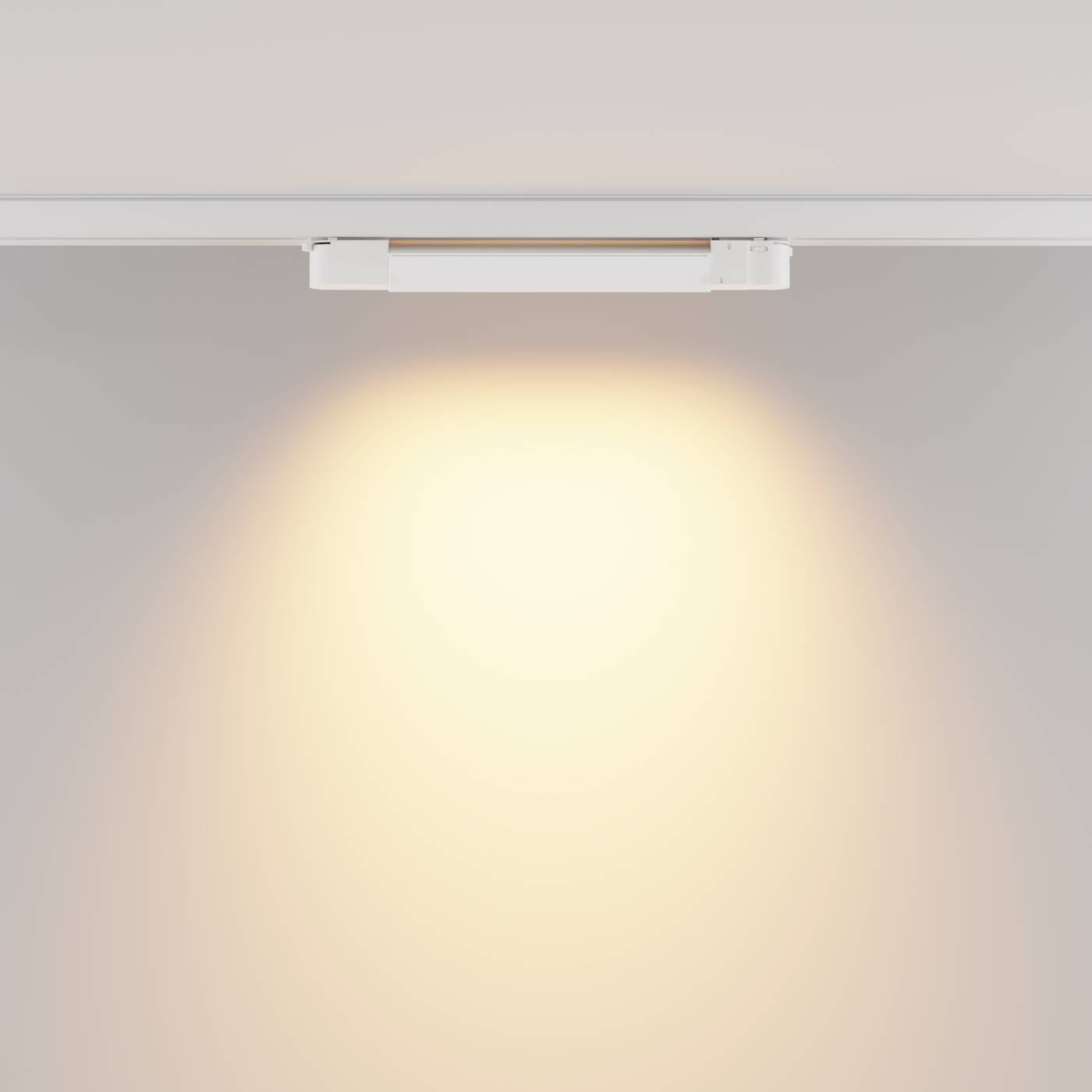 Трековый светильник Maytoni Basis TR196-3-10W2.7K-W